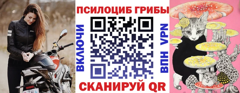 Галлюциногенные грибы GOLDEN TEACHER  маркетплейс наркотические препараты  Пошехонье 